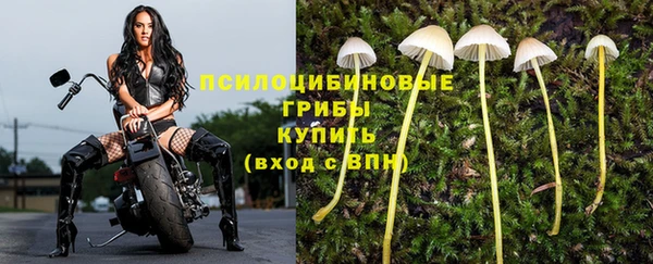 spice Алексин