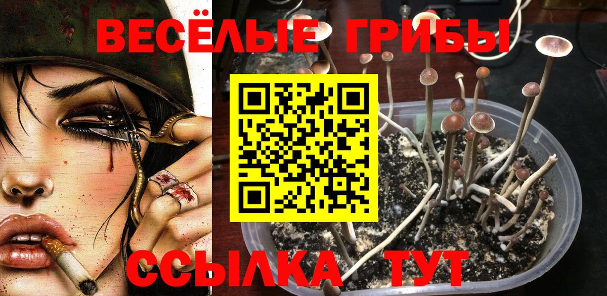 Урай  Галлюциногенные грибы Psilocybe  Псилоцибиновые грибы ЛСД  Вход с VPN 